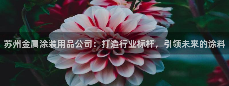 美高梅---国际品牌--值得信赖
