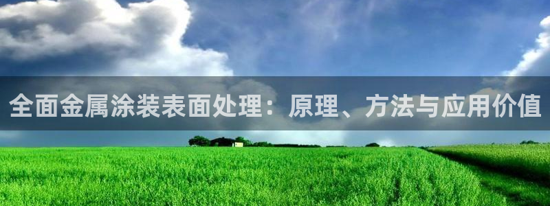 美高梅国际酒店集团资产