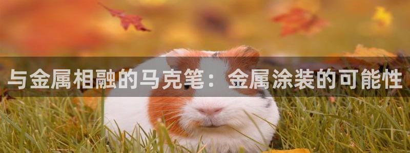 美高梅现状