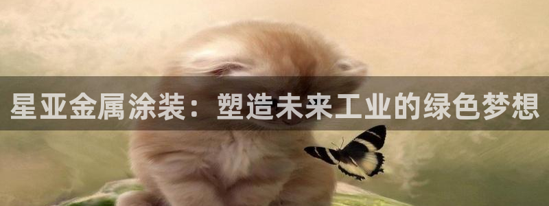 美高梅是哪个国家的