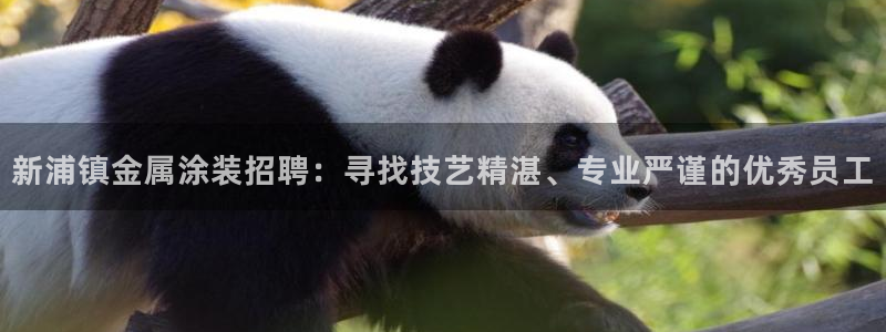 美高梅集团何超琼