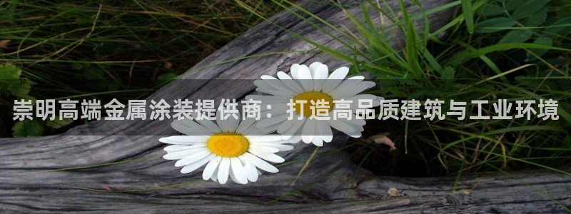 美高梅控股有限公司是国企吗