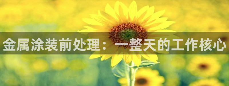 美高梅会员卡有什么用