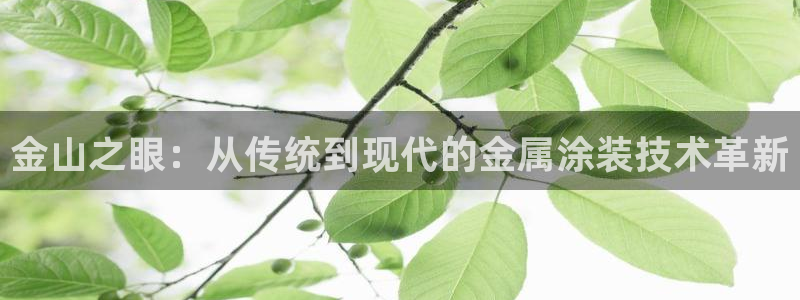 美高梅酒店老板：金山之眼：从传统到现代的