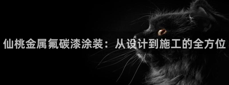 美高梅是谁的股东