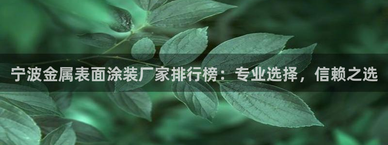 美高梅酒店几星级的：宁波金属表面涂装厂家