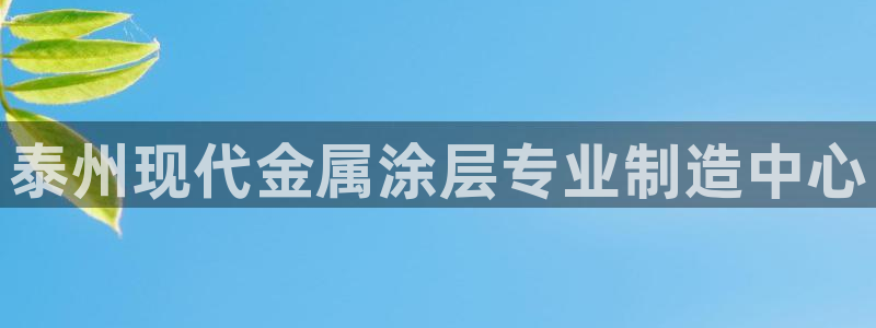 美高梅酒店vogue杂志：泰州现代金属涂