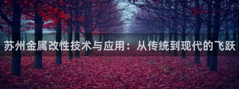 美高梅酒店怎么样