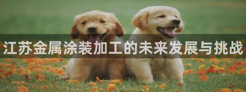 美高梅酒店老板是谁