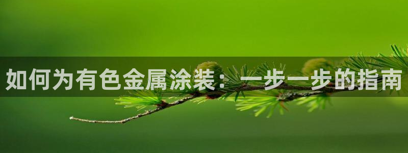 美高梅提现审核怎么办：如何为有色金属涂装