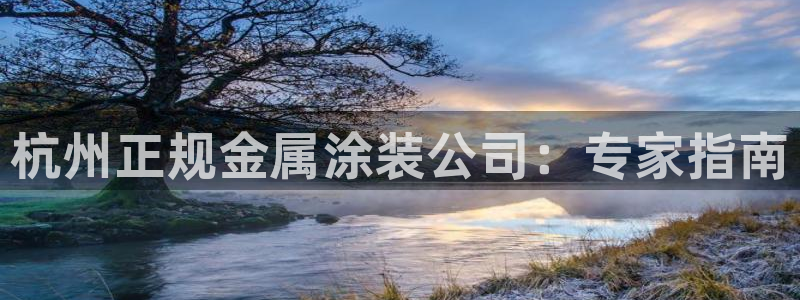 美高梅日本大阪项目