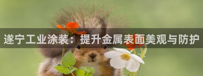 鲁能美高梅别墅