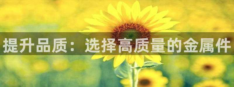 澳门几个美高梅