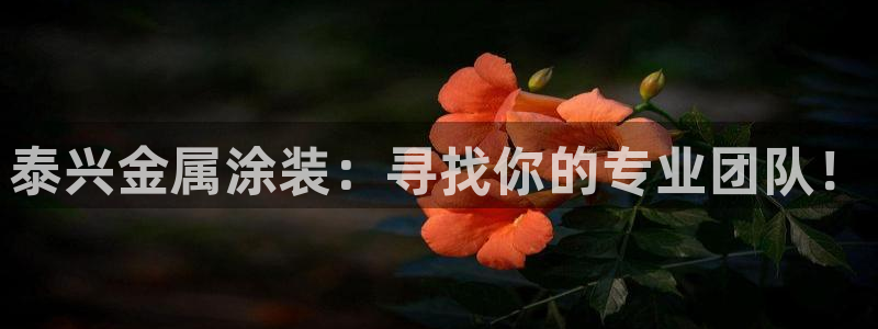 美狮美高梅穿梭巴士时刻表