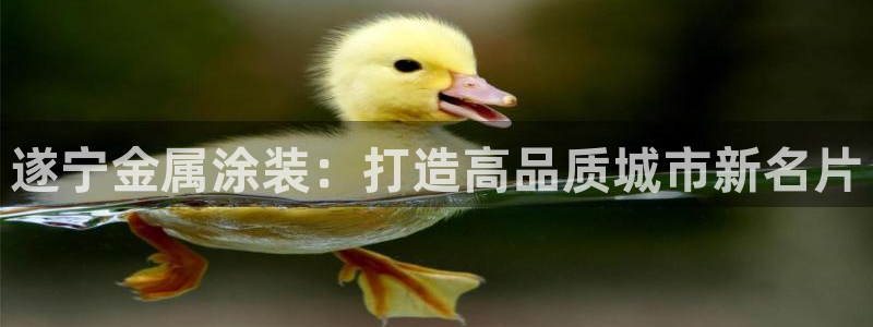 美高梅和米高梅是什么关系呀