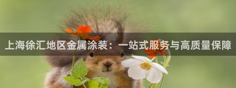 鲁能美高梅别墅容积率