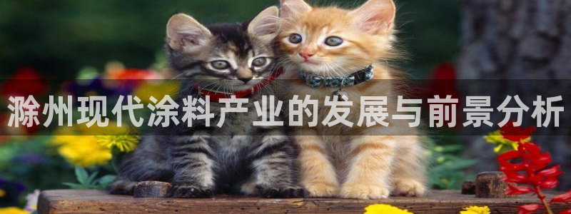 美高梅酒店香港