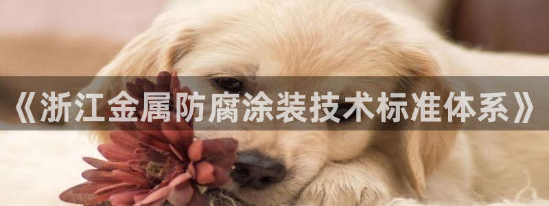 美高梅酒店集团旗下品牌有哪些