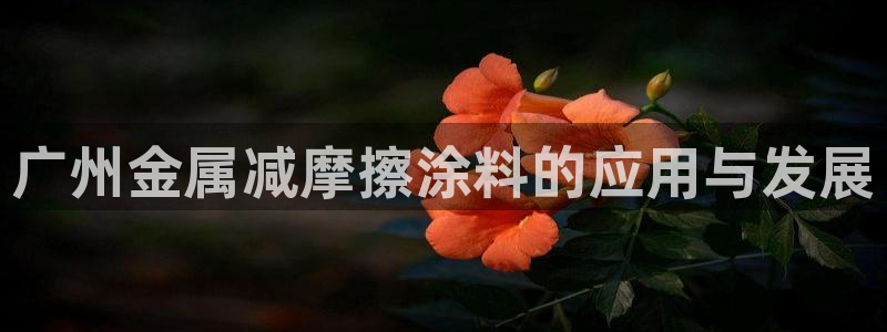 美高梅会员卡升级