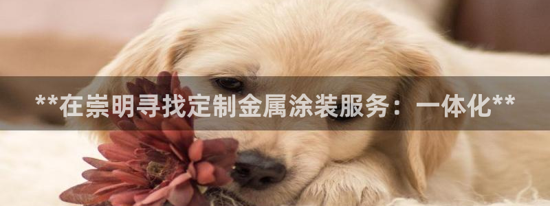 美高梅酒店门口的大狮子