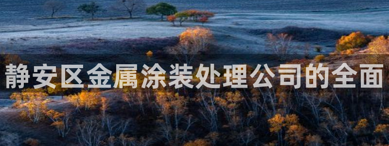 美高梅是何超琼的吗?