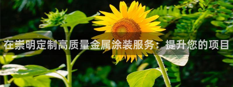 美高梅冻结账号要怎么解除