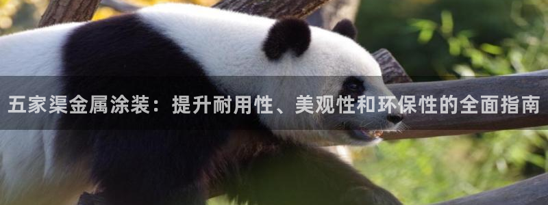 美高梅酒店杭州店地址