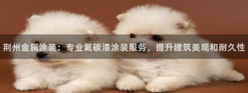 美高梅贵宾厅有哪些