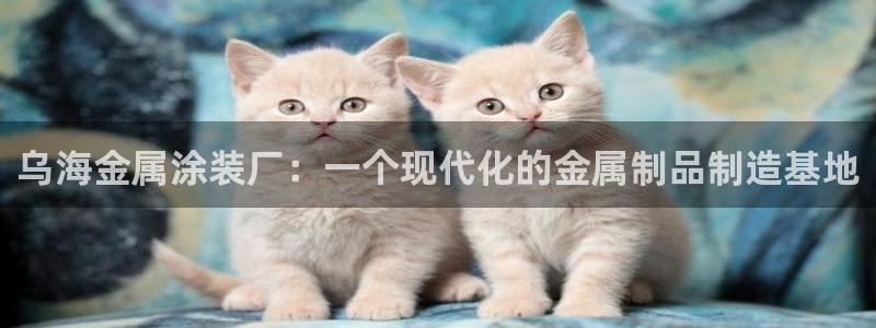 美高梅酒店可以抽烟吗