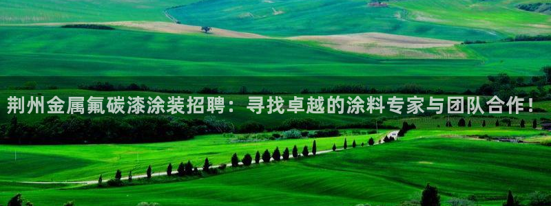 美高梅国际酒店集团介绍