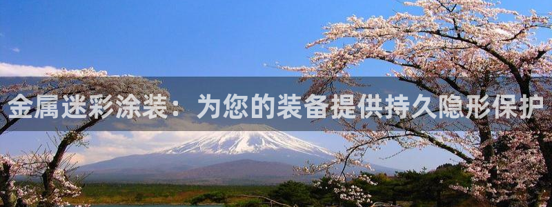 美高梅有提现成功的吗