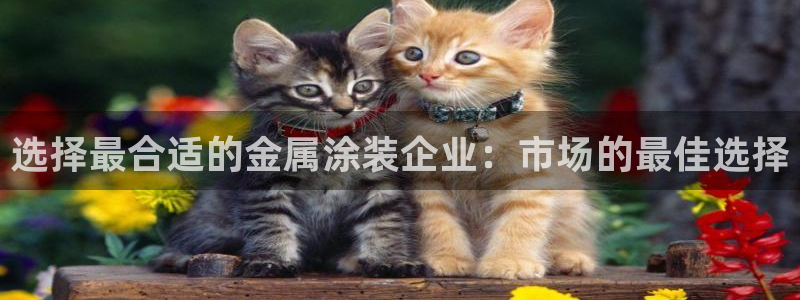 美高梅是干什么的