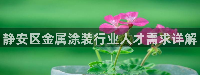 美高梅自助年卡