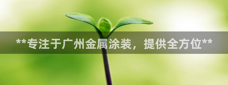 美高梅国际酒店集团介绍