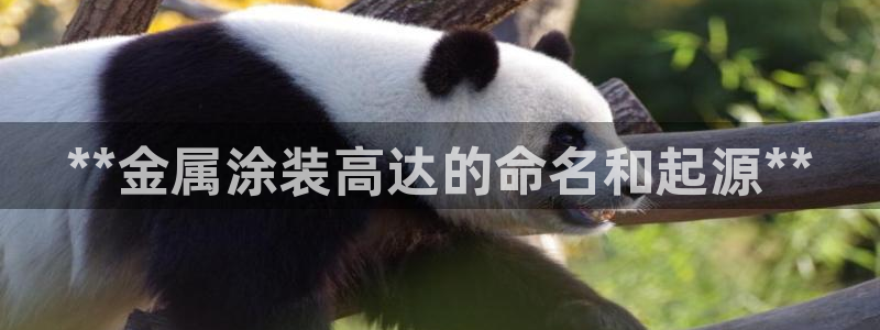 美高梅酒店老板是何超琼