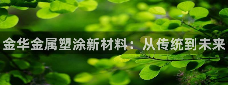 美高梅大酒店几星级