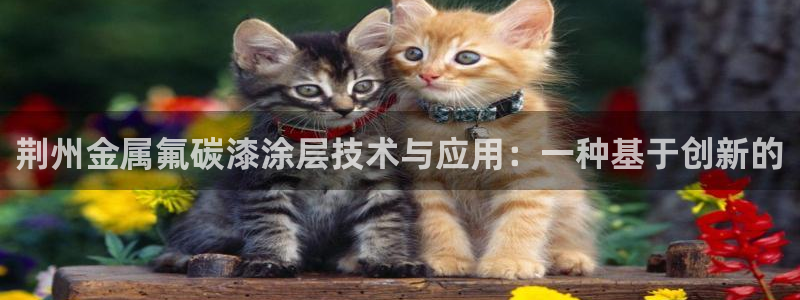 美狮美高梅酒店相邻酒店