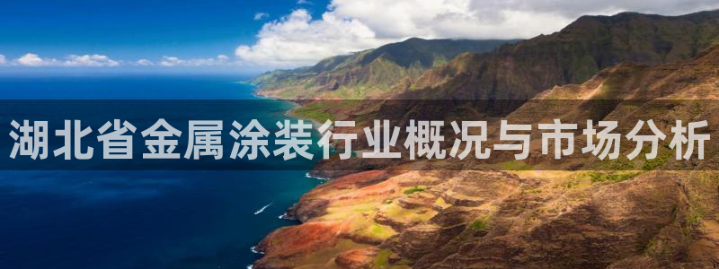 美高梅集团老板：湖北省金属涂装行业概况与